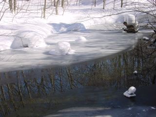 tsuta09.jpg